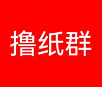 撸纸群速度进