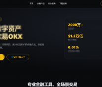 这是一个月入十万的项目，但是不能太明着讲。